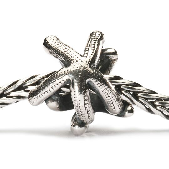 Trollbeads Starfish Charm Silver